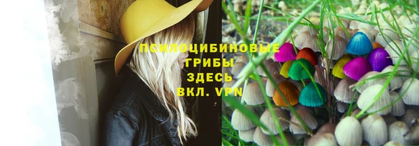 стаф Армянск