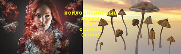 стаф Армянск