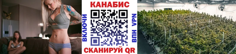где найти   Остров  Марихуана SATIVA & INDICA 